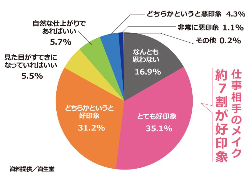 メイクの印象　円グラフ