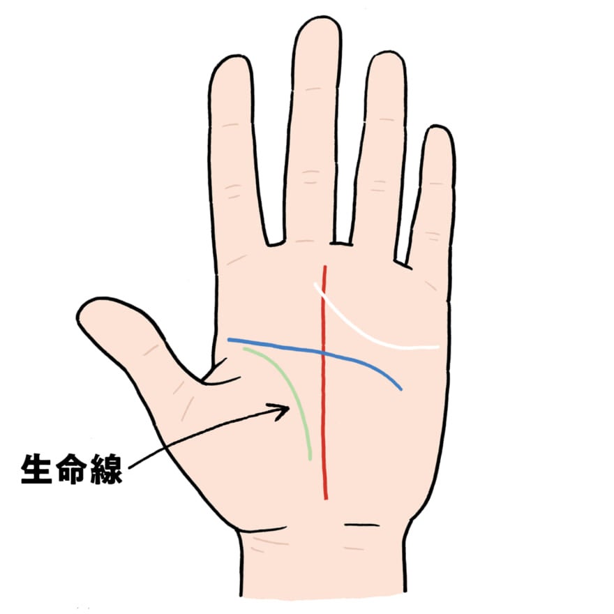 手相の基本「４大線」