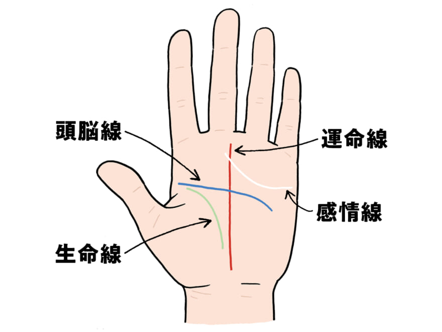 【すぐできる！モテる即席占い】手相の基本「４大線」を覚えよう！