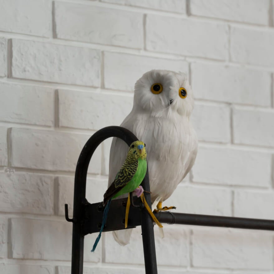 プエブコの鳥のオブジェ