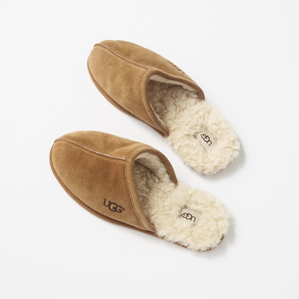 UGG Scuff　アグのスリッパ