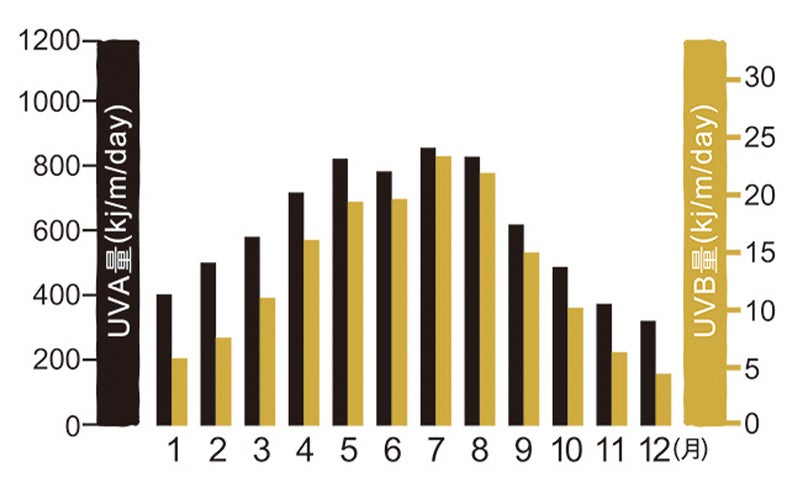 年間の紫外線量のグラフ