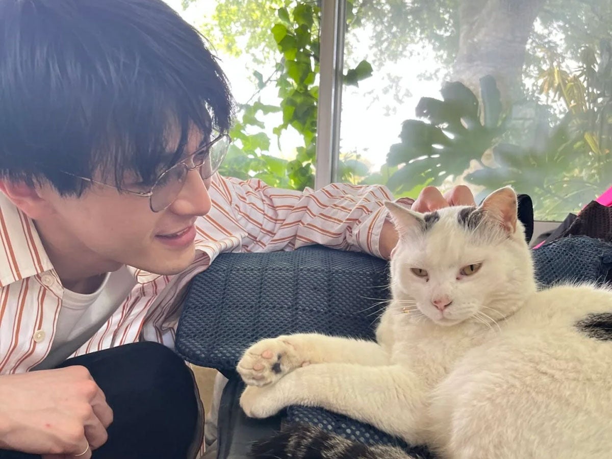 J’ai passé un bon moment au café des chats de sauvetage[Shunya Iwakami Blog]