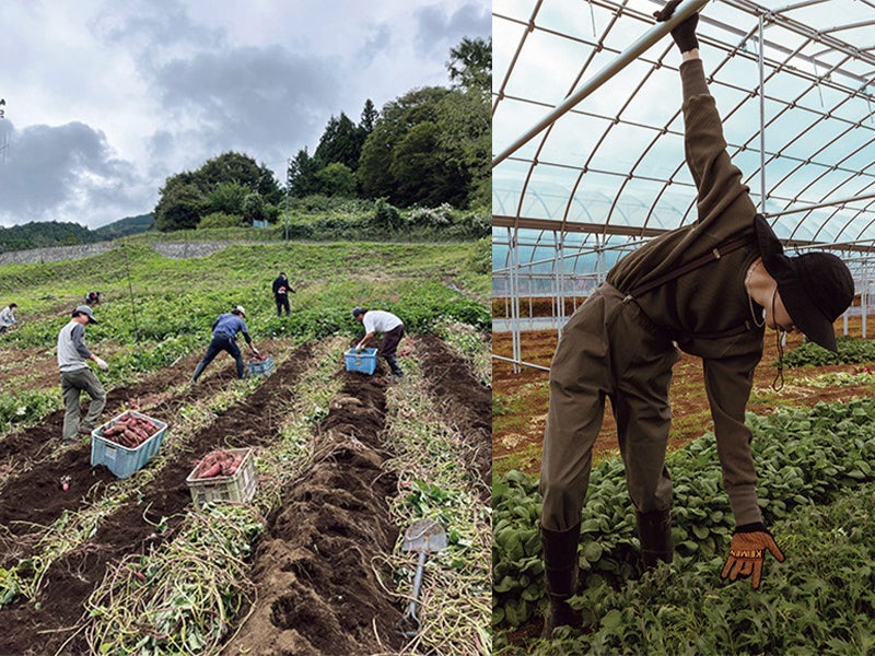 山梨県 道志村 畑　畑仕事 ウエア