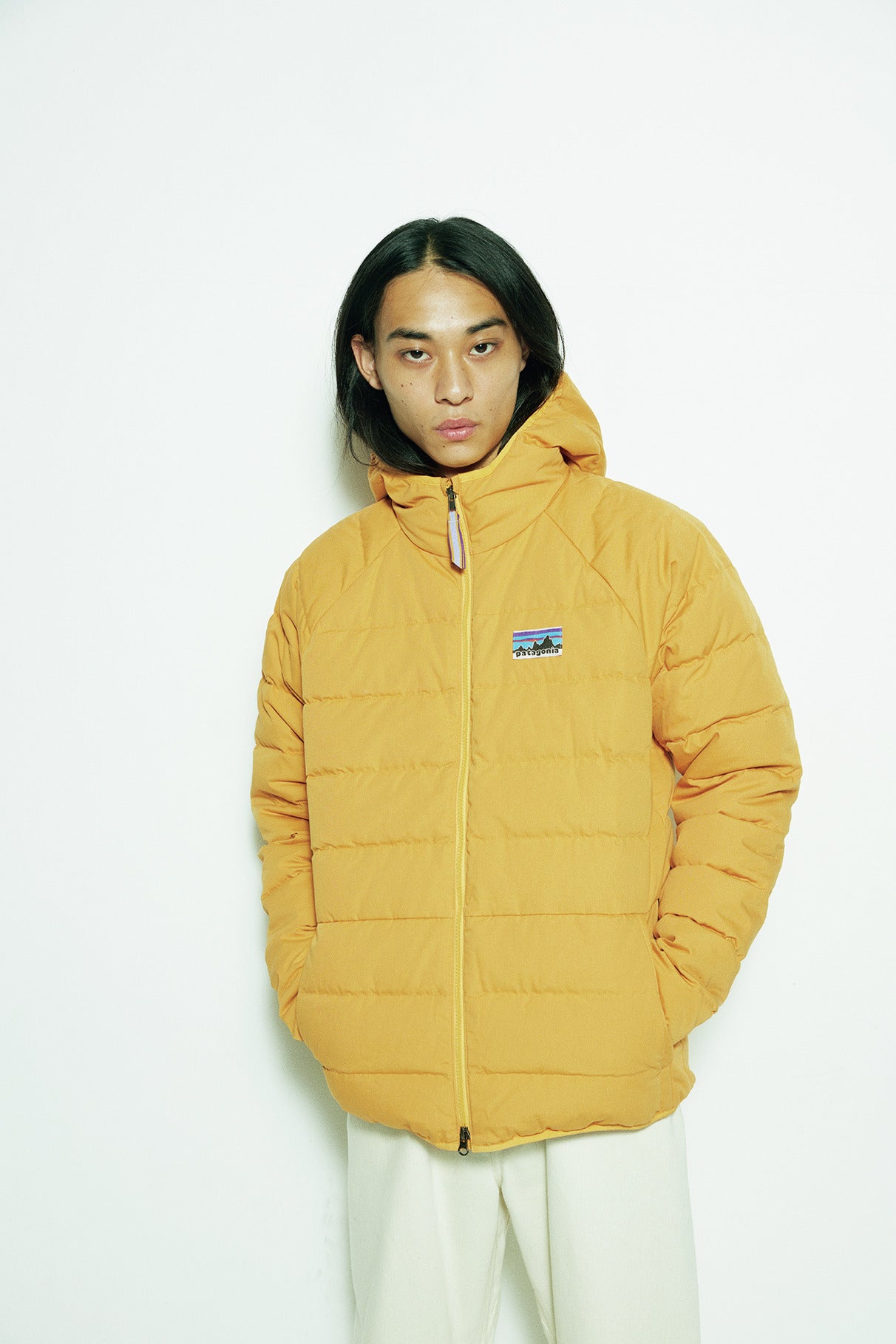 パタゴニア patagonia ダウンジャケット THE NORTH FACE