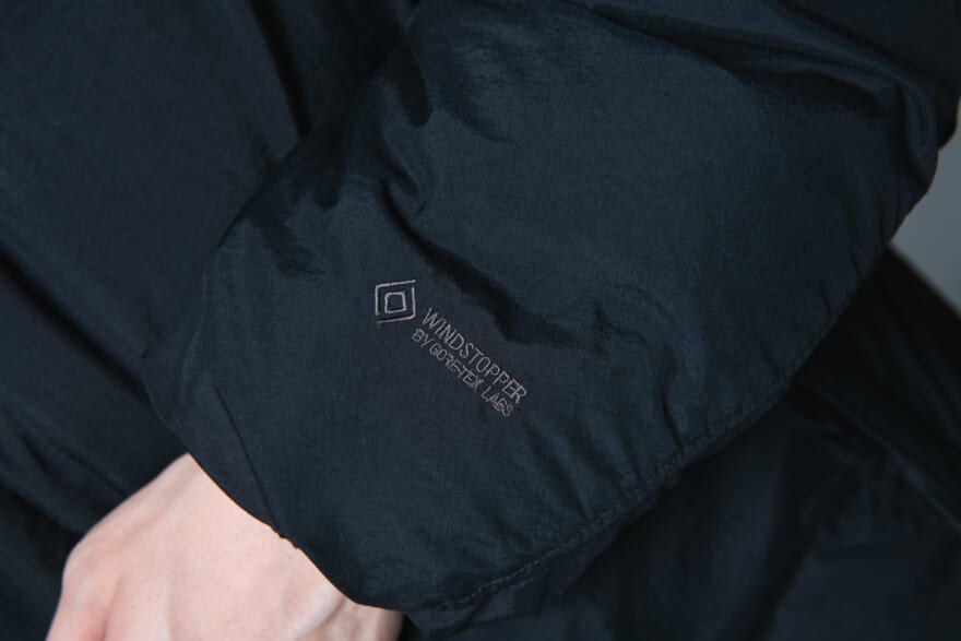 ザ・ノース・フェイスのダウン「オルタレーションシエラジャケット」のモデル着用カット　袖のゴアテックスロゴ