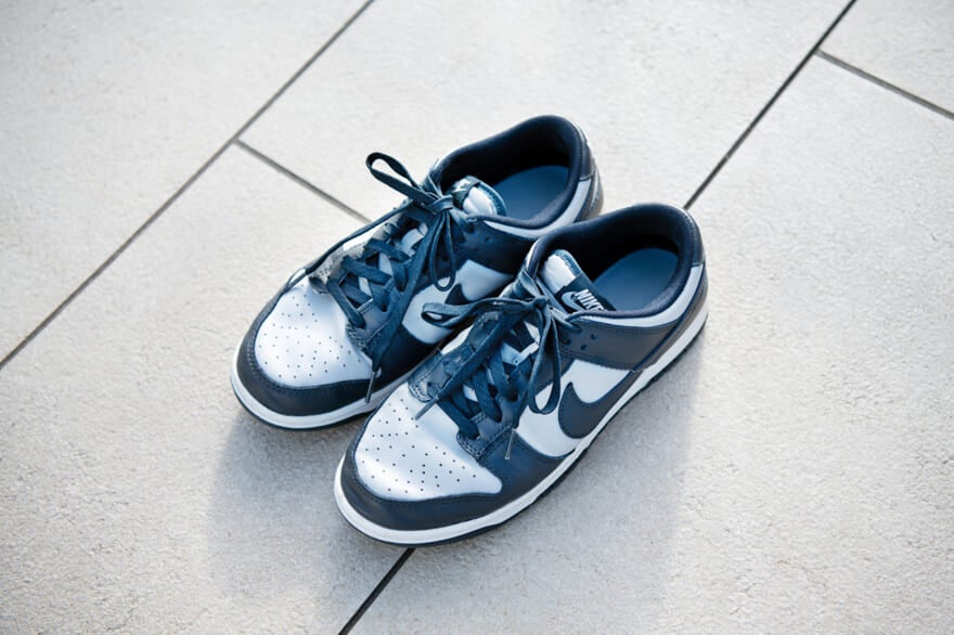 ナイキ DUNK LOW RETRO　全体　上