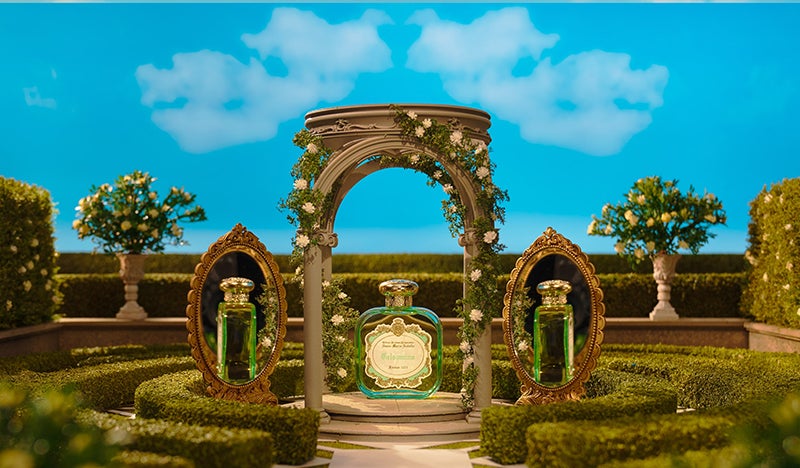 サンタ・マリア・ノヴェッラの新作香水「ジェルソミーノ
」のイメージ画像