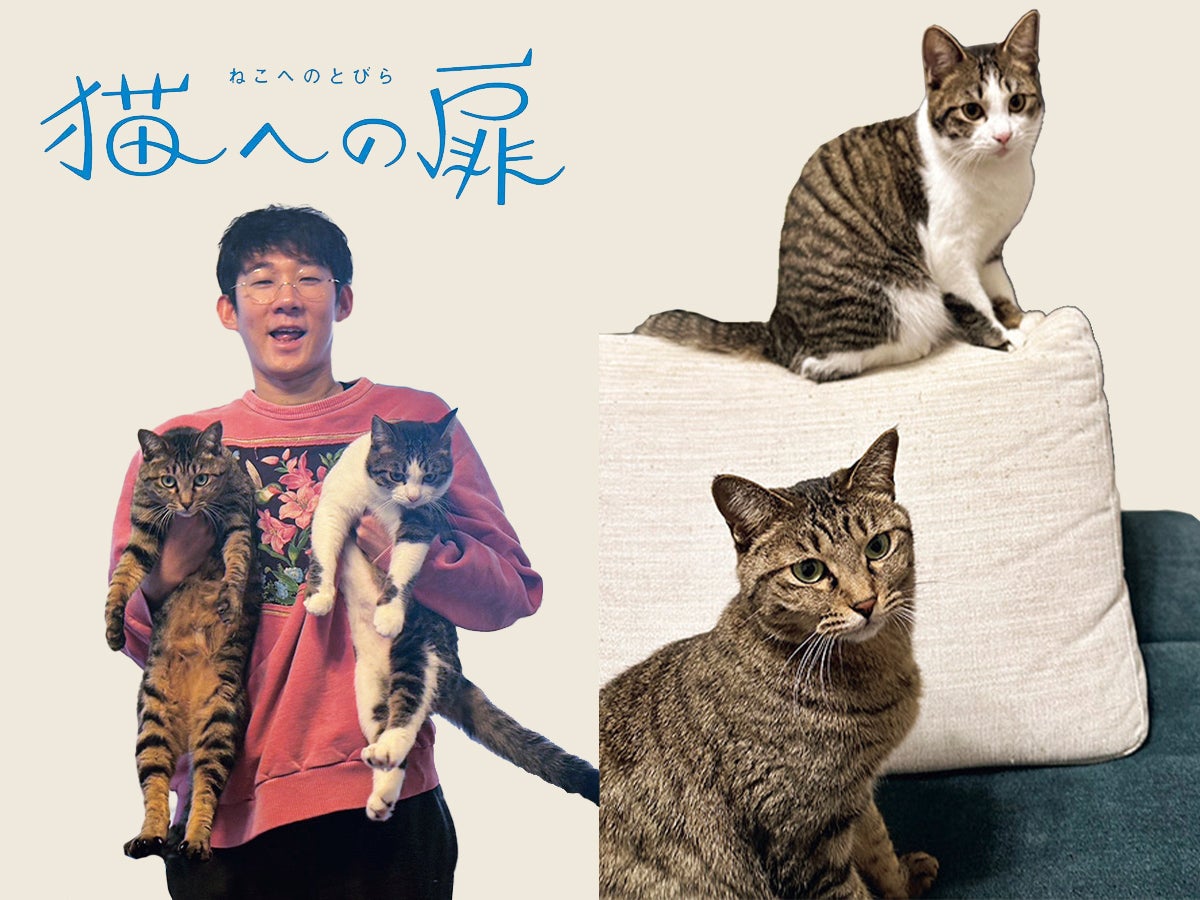 ［ミックス］お笑い芸人 堂前透（ロングコートダディ）の愛猫の話「漫才もいいけど、一緒に麻雀できたら面白そうやなぁ」【猫への扉】