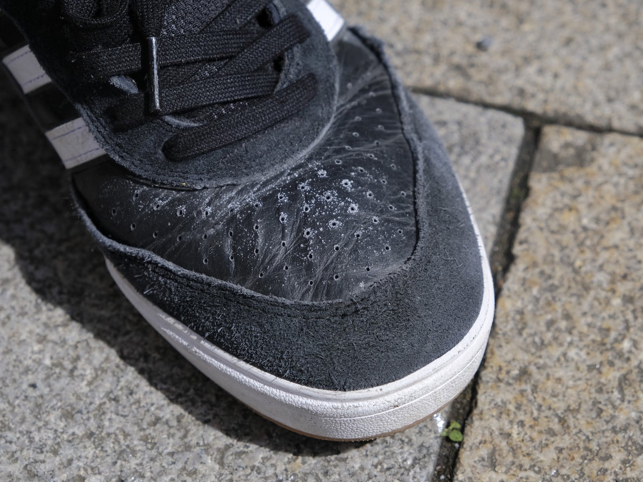 adidas skateboarding「Tyshawn II」のトウ