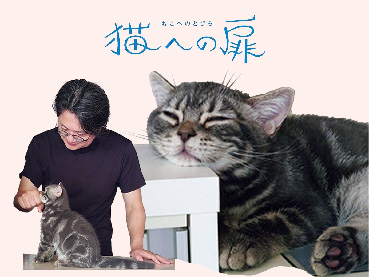 ［アメリカンショートヘア］歌人 穂村 弘の愛猫の話「予想の斜め上を突き進む、わが猫」【猫への扉】