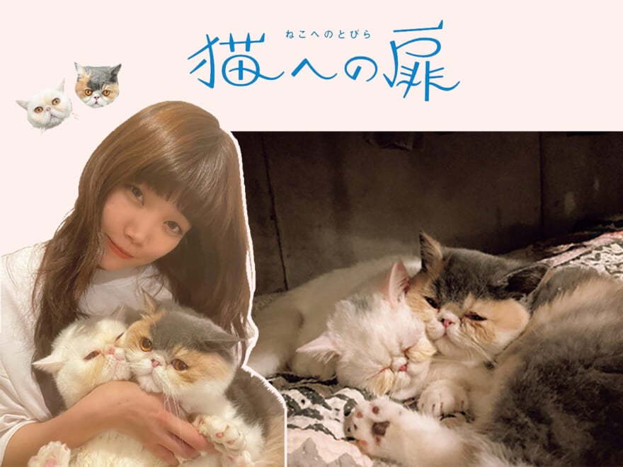 ［エキゾチックショートヘア］アーティスト セントチヒロ・チッチの愛猫の話「平穏は尊い。双子猫がその証」【猫への扉】