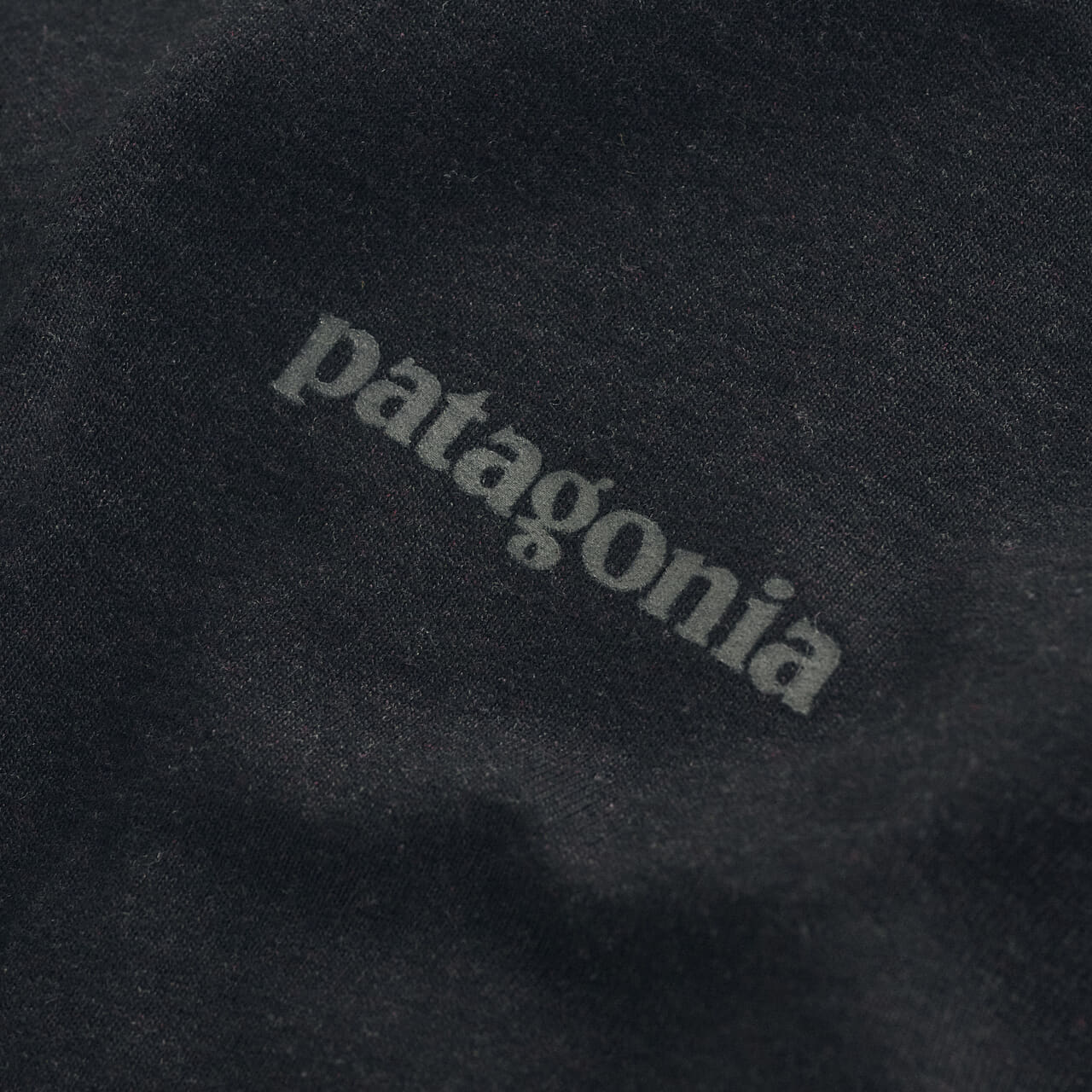 メンズ・フライング・フィッシュ・レスポンシビリティー　パタゴニアのTシャツのロゴ
