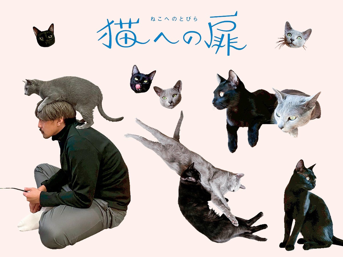 ［ロシアンブルー・ボンベイ］アーティスト 橋爪悠也の愛猫の話「つかず離れず？　創作のバディ」【猫への扉】