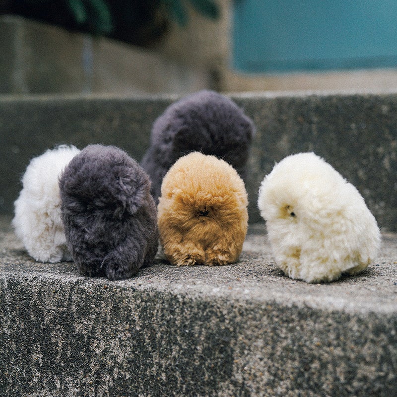ポメラニアンの赤ちゃんのぬいぐるみ