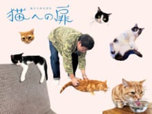 ［マンチカン&ミックス］芸人・森田哲矢（さらば青春の光）の愛猫の話。「あの無愛想なブクロですら、会長や専務が寄ってきたら触ってます」。【猫への扉】