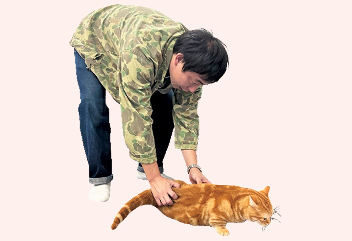 芸人の森田哲矢と愛猫のマンチカン 会長