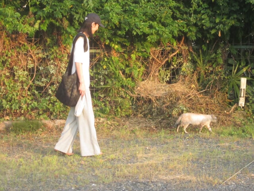 猫を追いかけるメンズノンノモデル海谷遠音