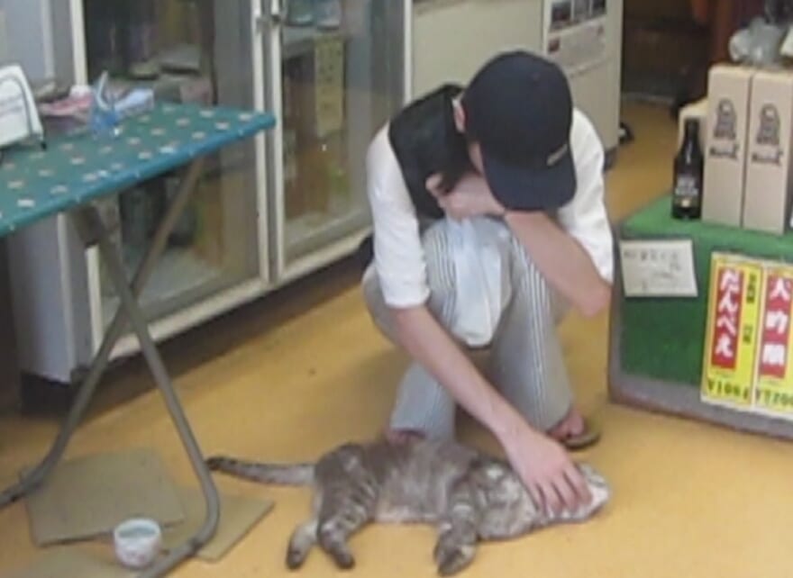 猫を撫でるメンズノンノモデル海谷遠音