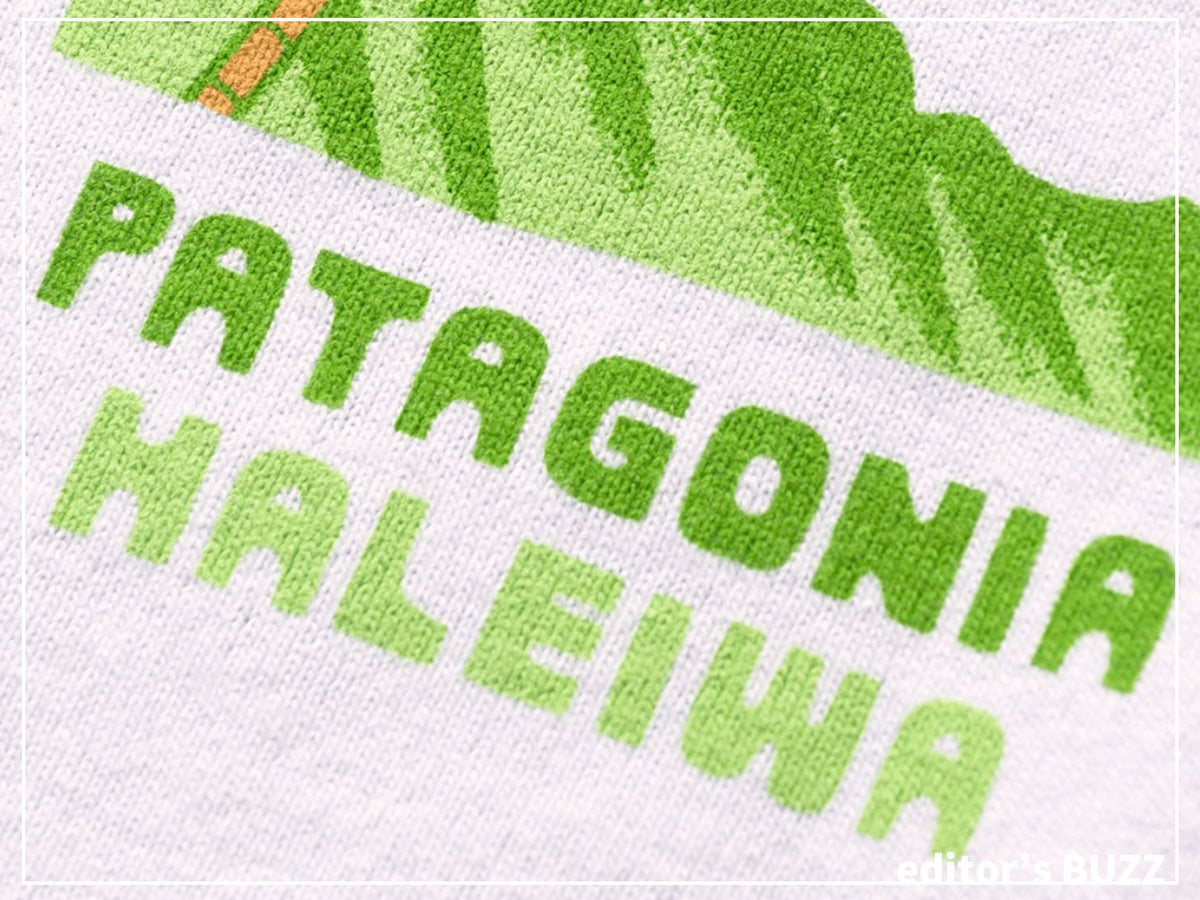 ハワイ限定を購入！「パタゴニア ハレイワタウンTシャツ」はシワ感もサマになる素材でハワイより暑い日本の夏の相棒に。[編集者の愛用私物 #224]