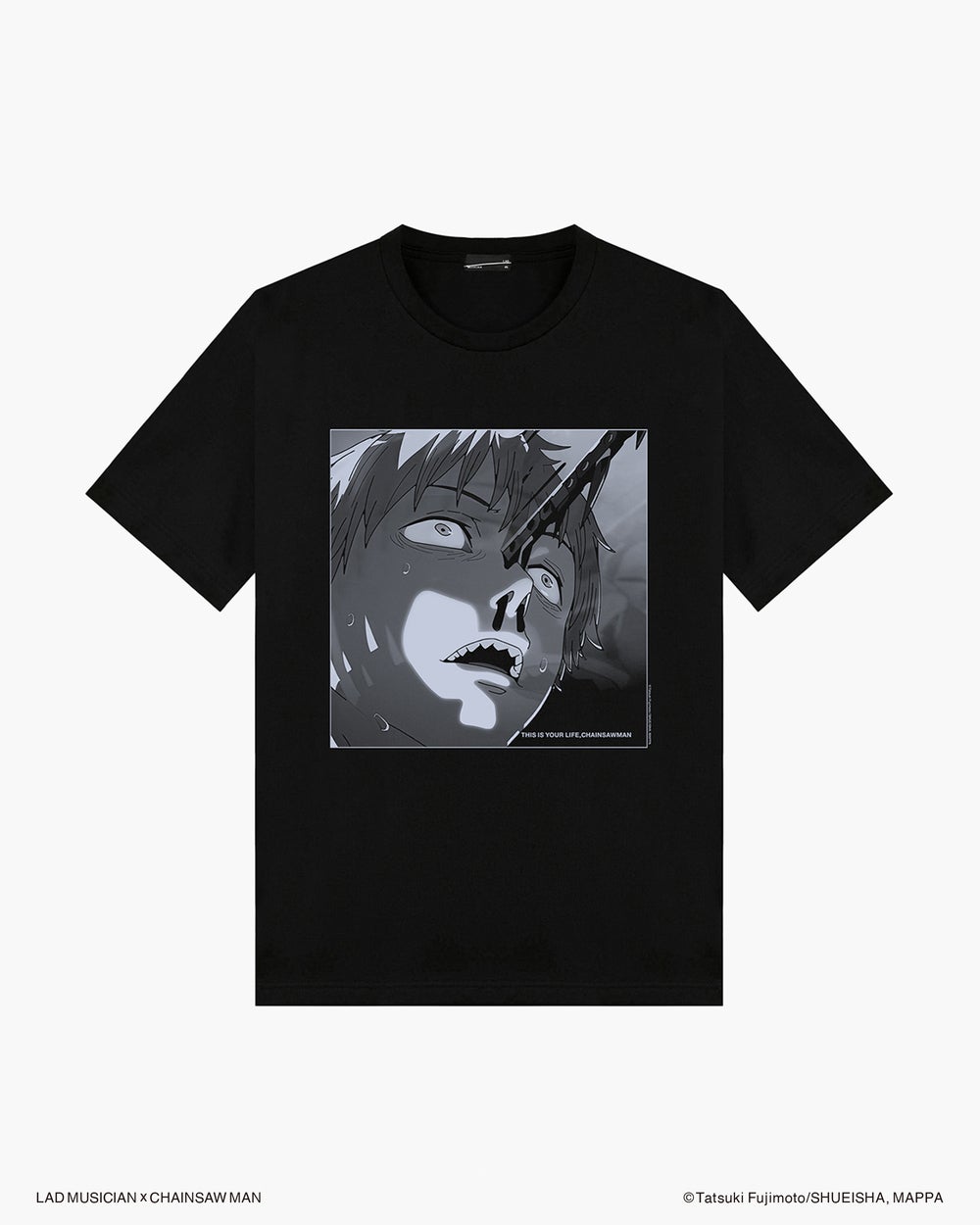 Big T-Shirt 3