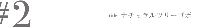 ＃2 Title: ナチュラルツリーゴボ