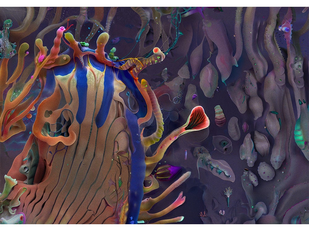 画像が削除されました