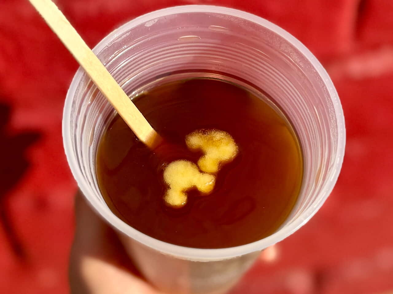 ディズニーシークリスマス食べ歩きおすすめ「ホットアップルジンジャードリンク」トッピング