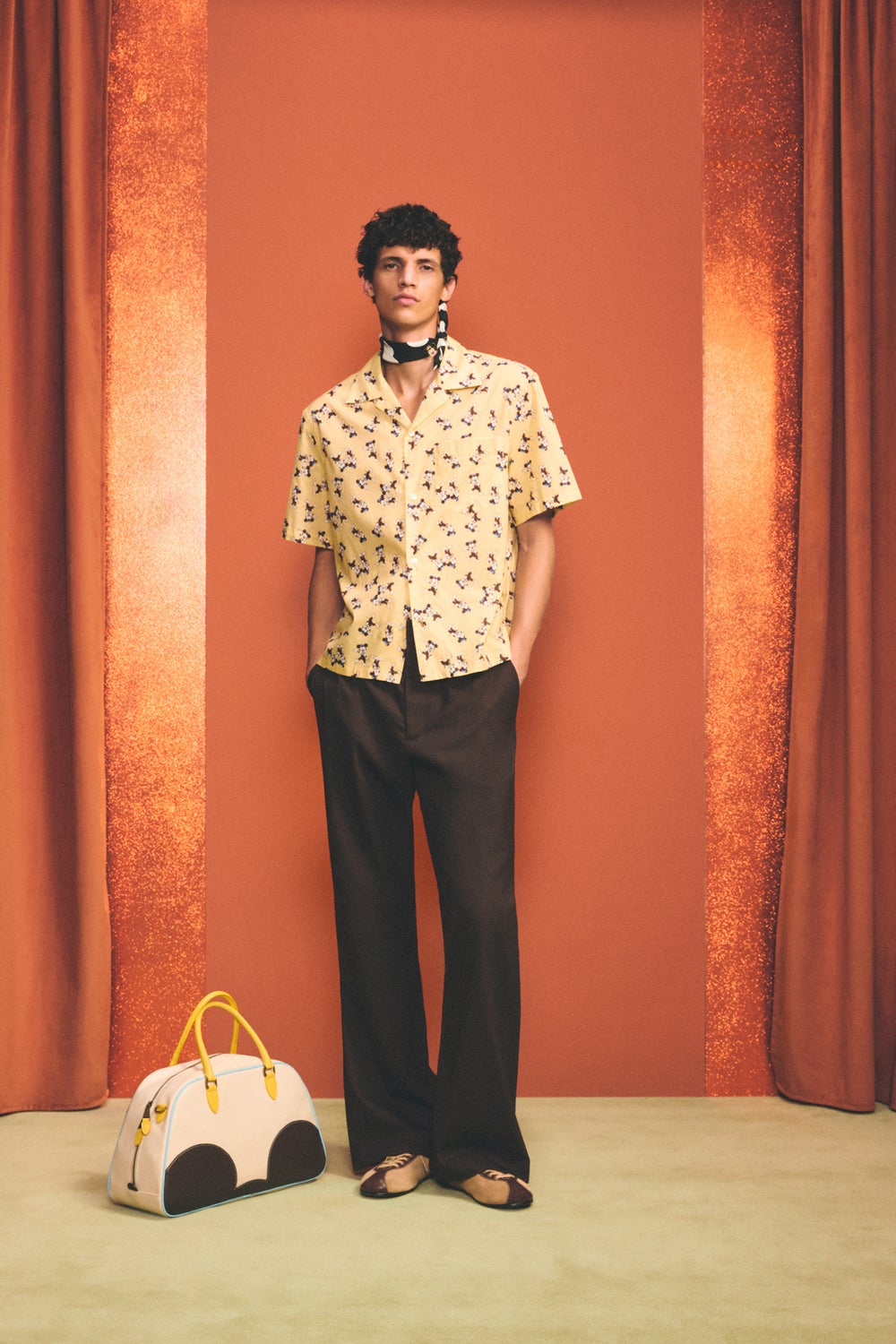 Harry Lambert x Disney x ZARA Collection 2
