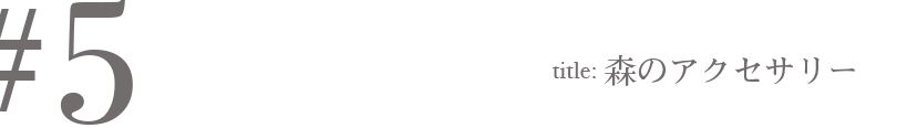 #5 Title:森のアクセサリー