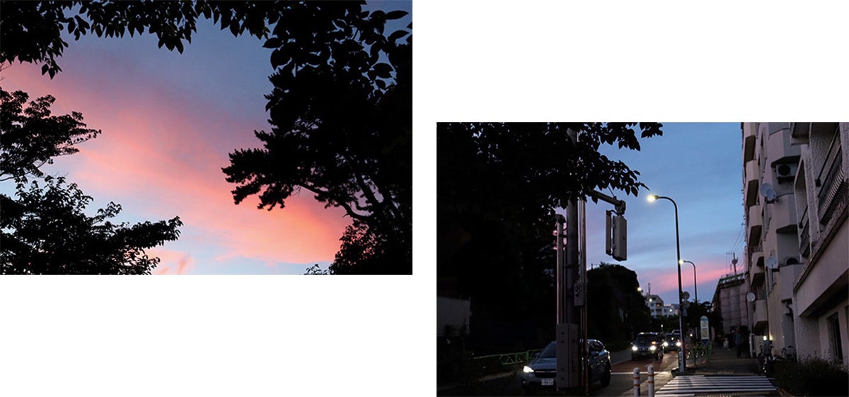 白鳥玉季撮影の夕日