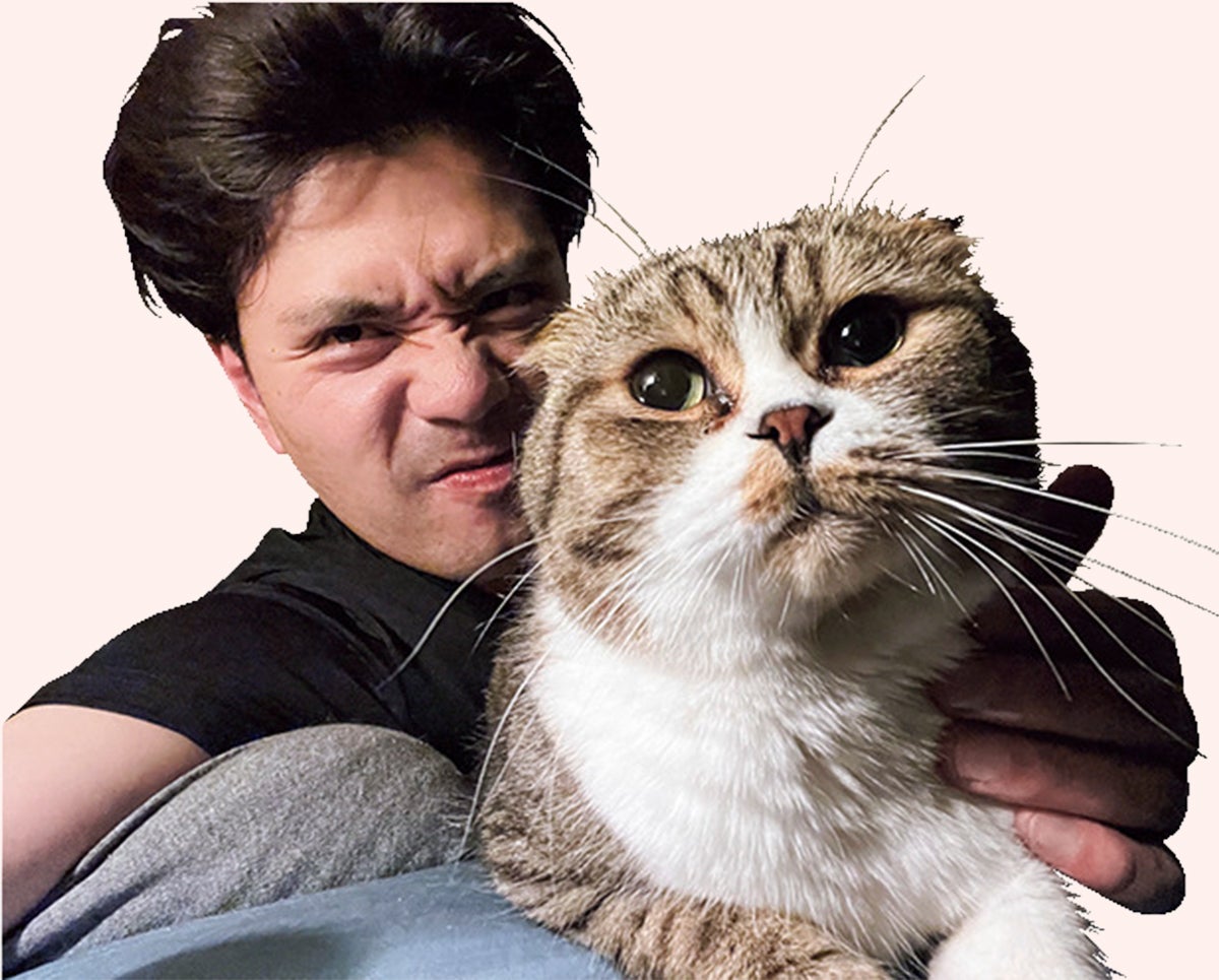 芸人の阪本と愛猫のスコティッシュフォールド ウニ