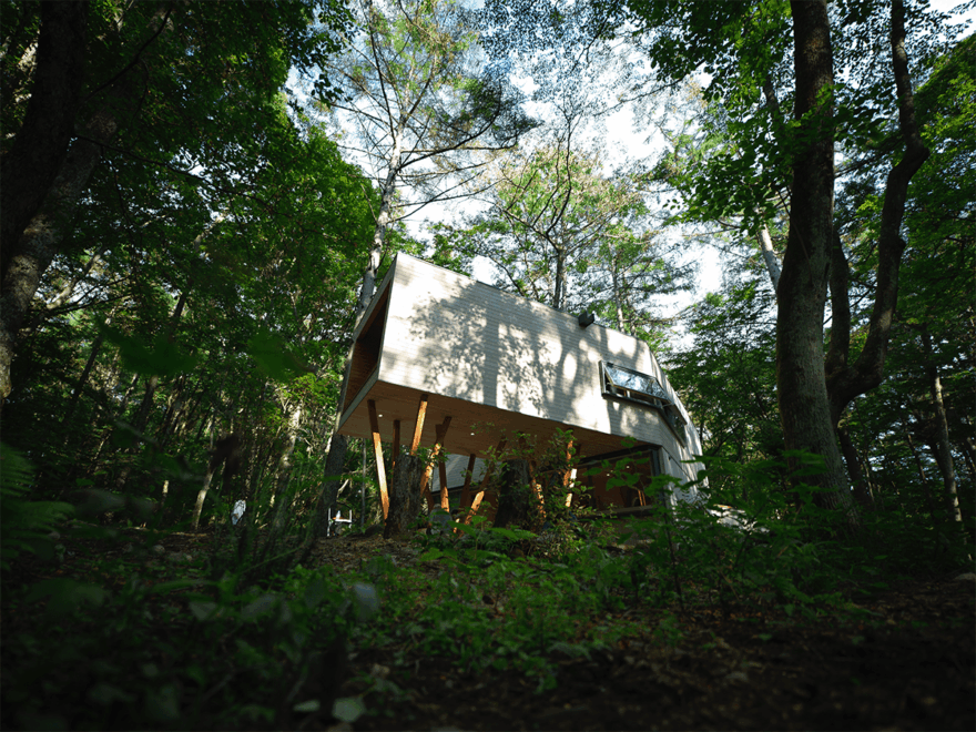 中島裕翔撮影 Title:surrounded by trees