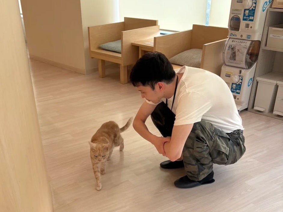 秋到来。１年で一番楽しい季節が始まりました[守屋光治ブログ]