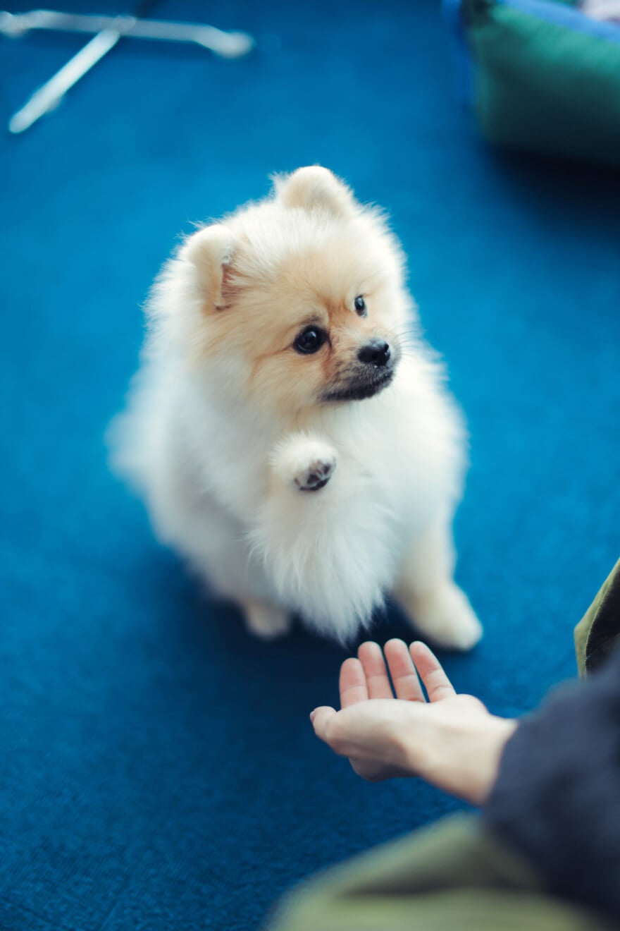 村井海心さんの部屋 3