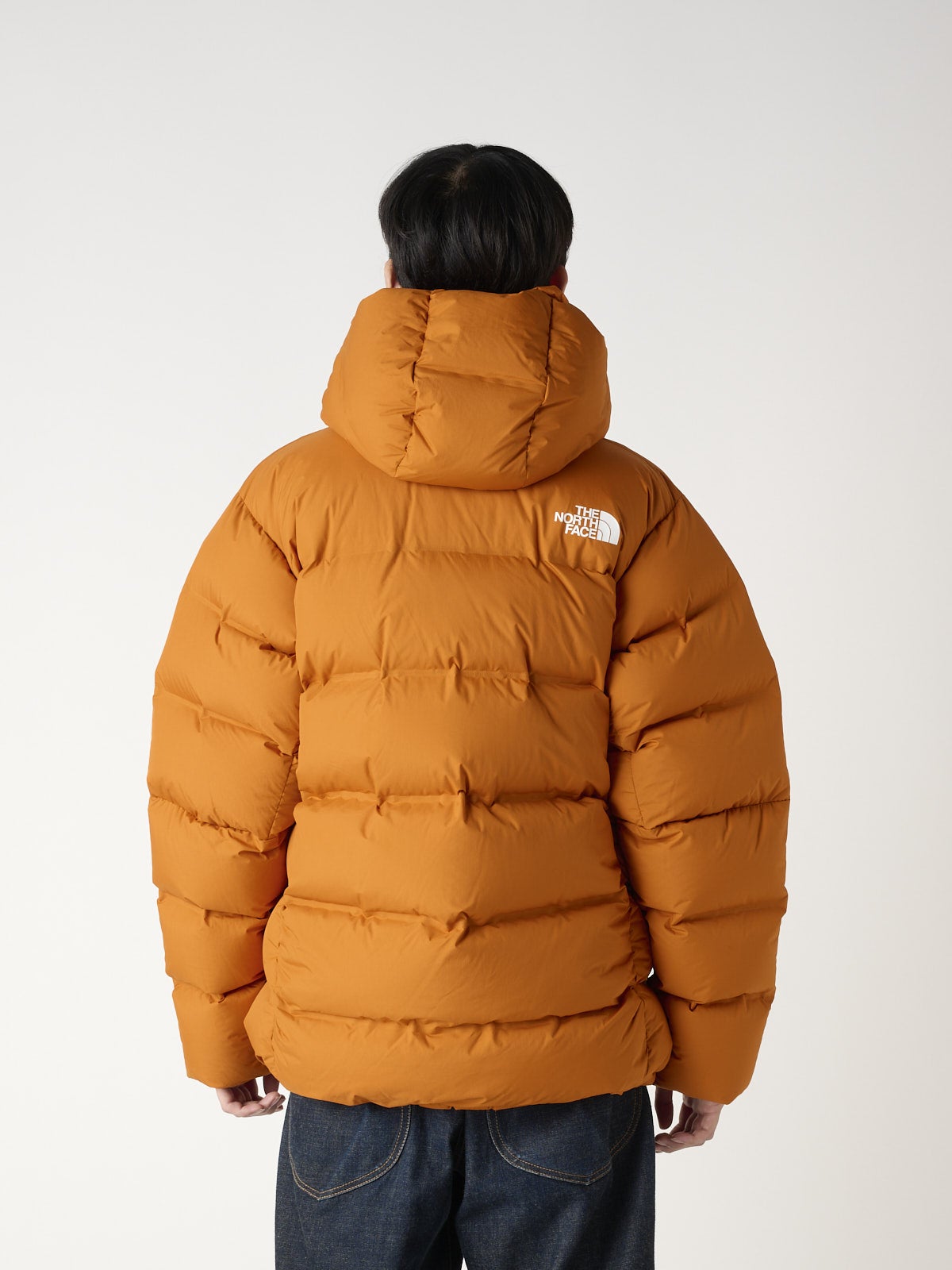 ザ・ノース・フェイスのEX ビレイヤーパーカ ダウンジャケットの着用のバック