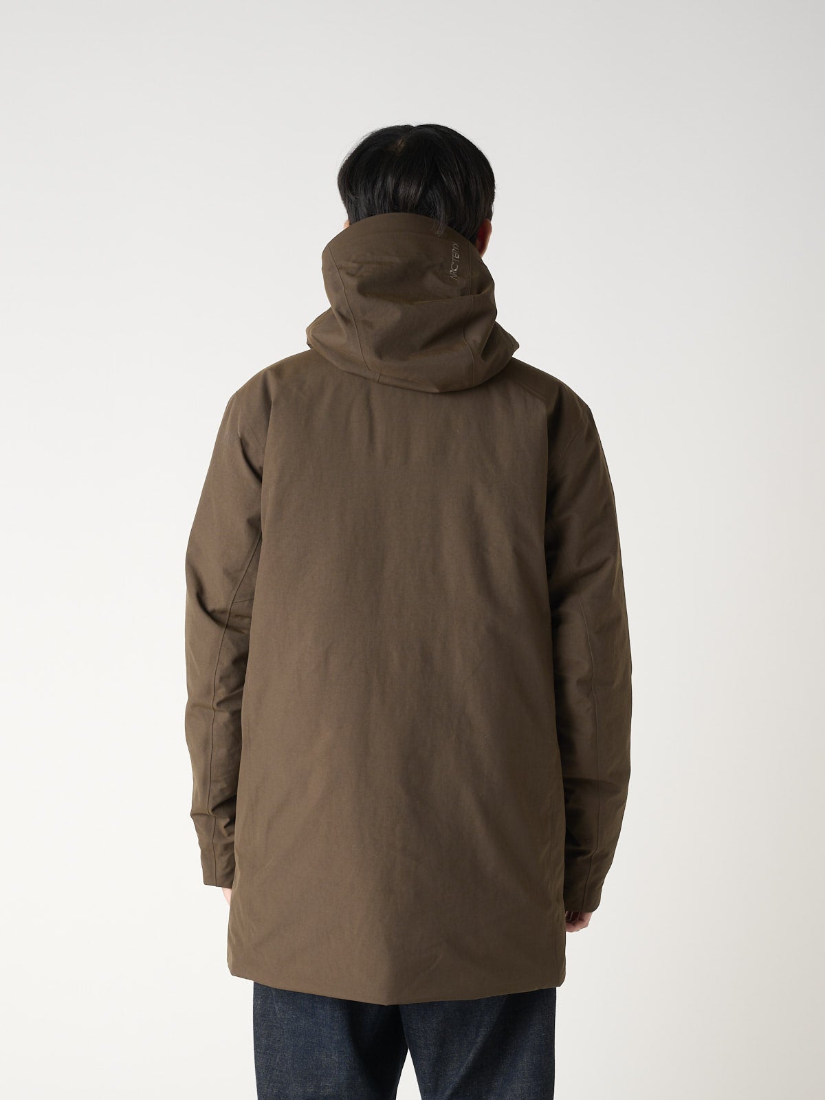 アークテリクスのサーミー ダウンパーカの着用のバック