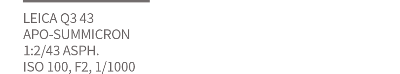 撮影セッティング　1