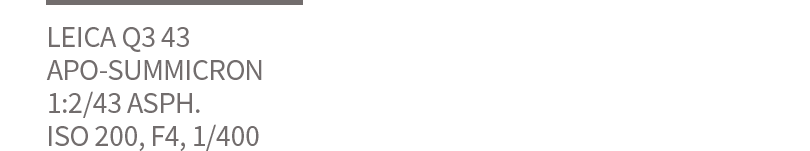 撮影セッティング　9