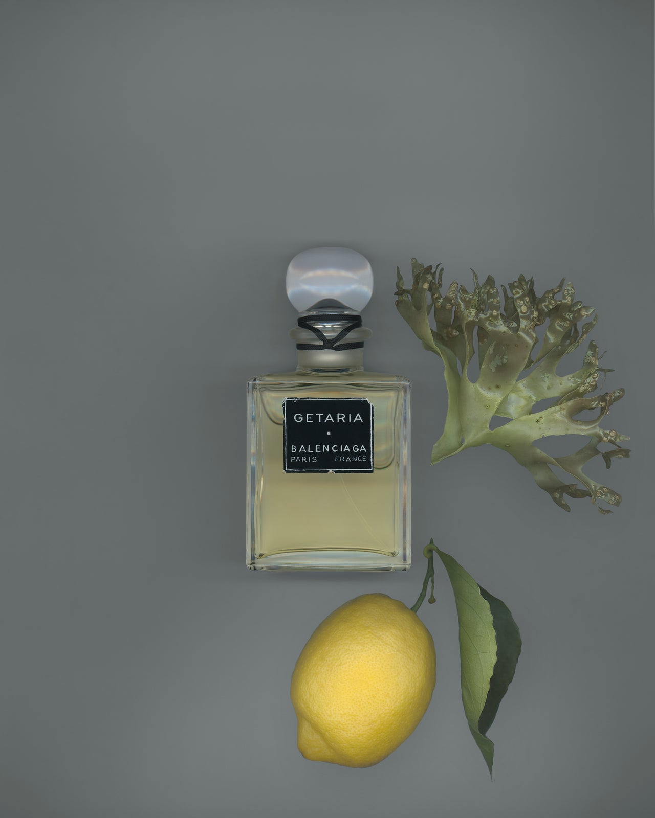 BALENCIAGA-FRAGRANCE-GETARIA-MOOD.