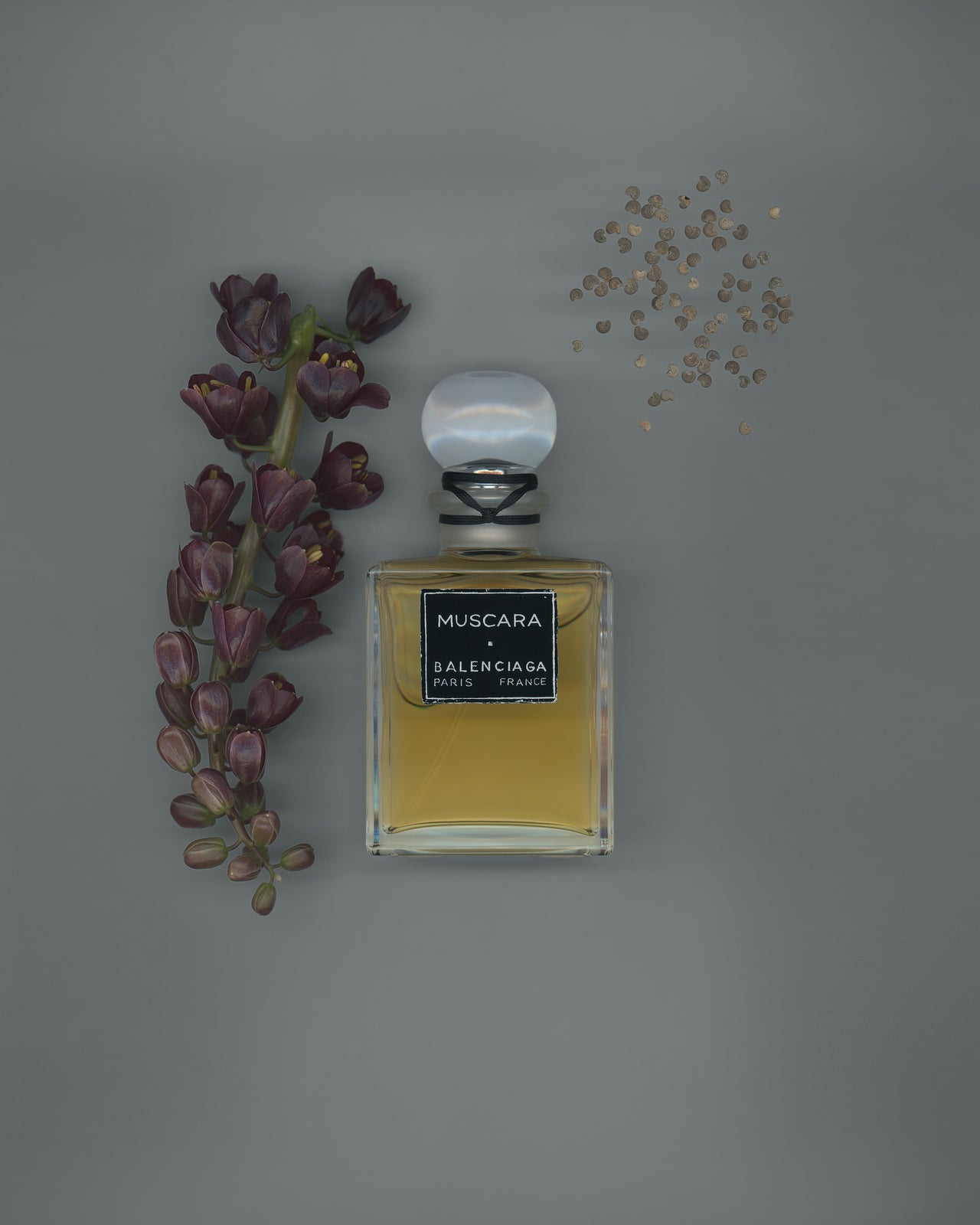 BALENCIAGA-FRAGRANCE-MUSCARA-MOOD.