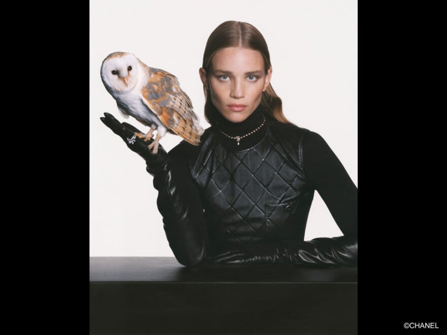 シャネルが原宿・キャットストリートでファインジュエリー&ウォッチのポップアップを開催!