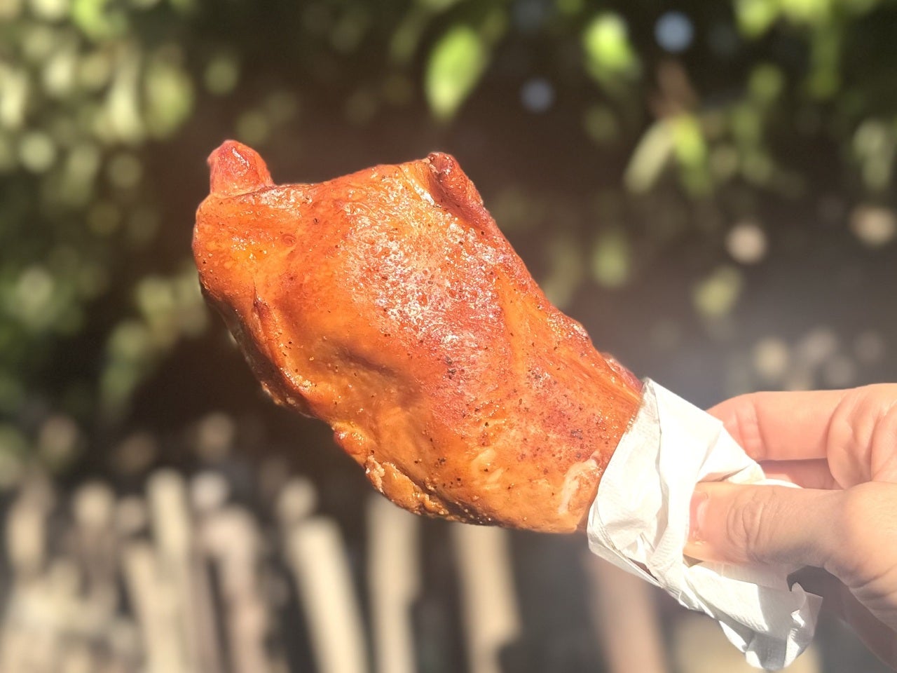 ディズニーシー食べ歩き定番オススメ「スパイシースモークチキンレッグ(1ピース)」別角度