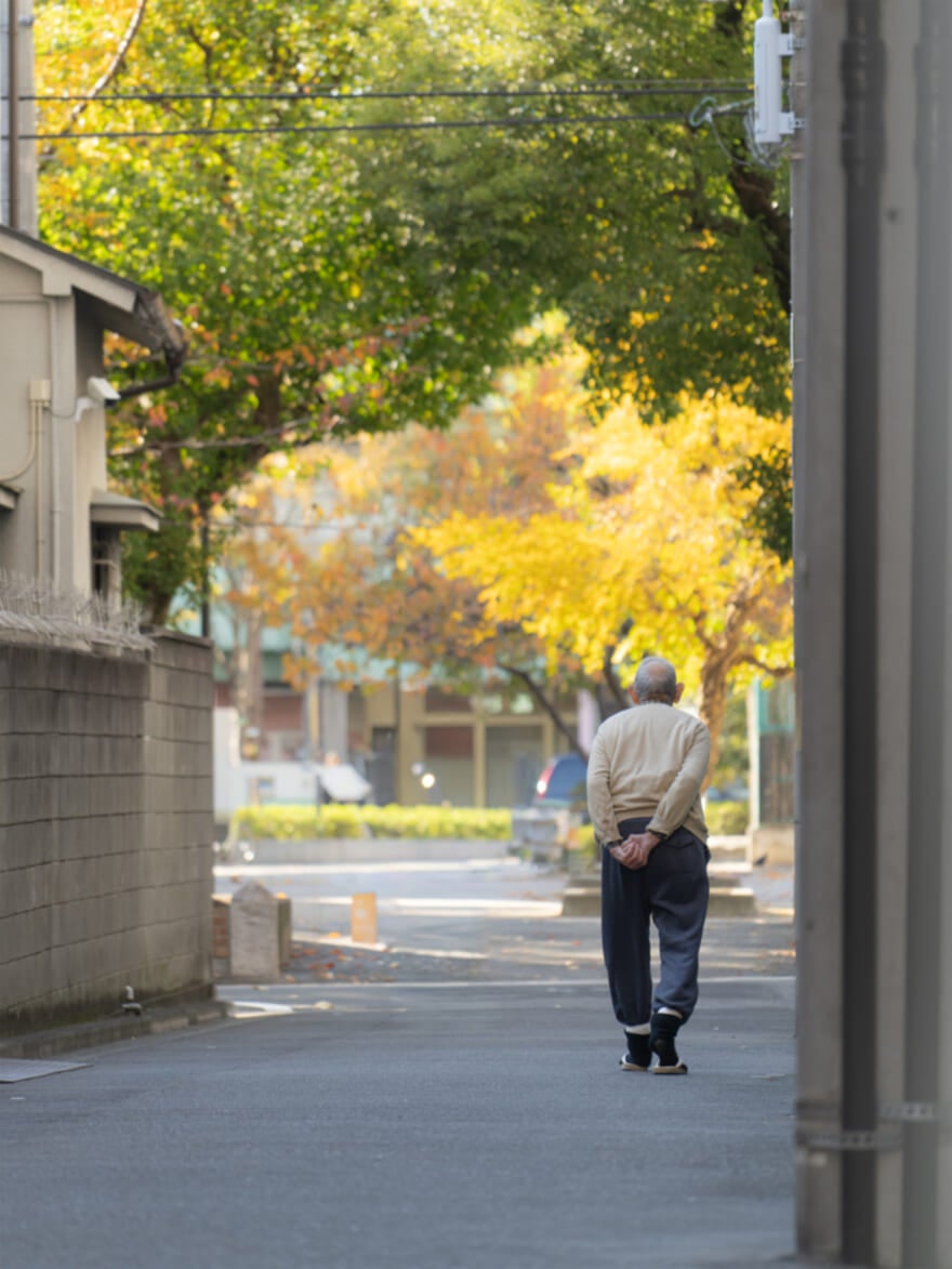 中島裕翔撮影　Title:散歩コース