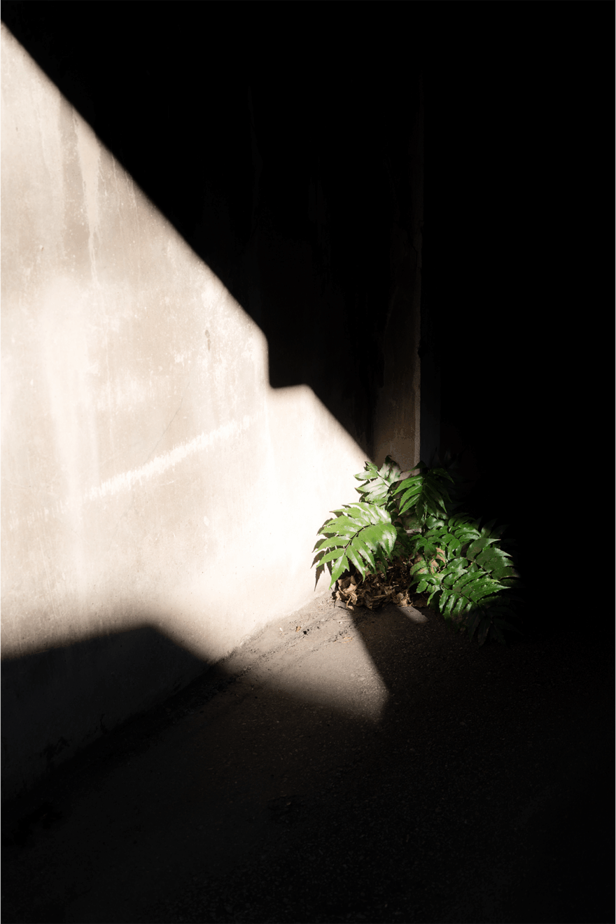 中島裕翔撮影　Title:注がれる光