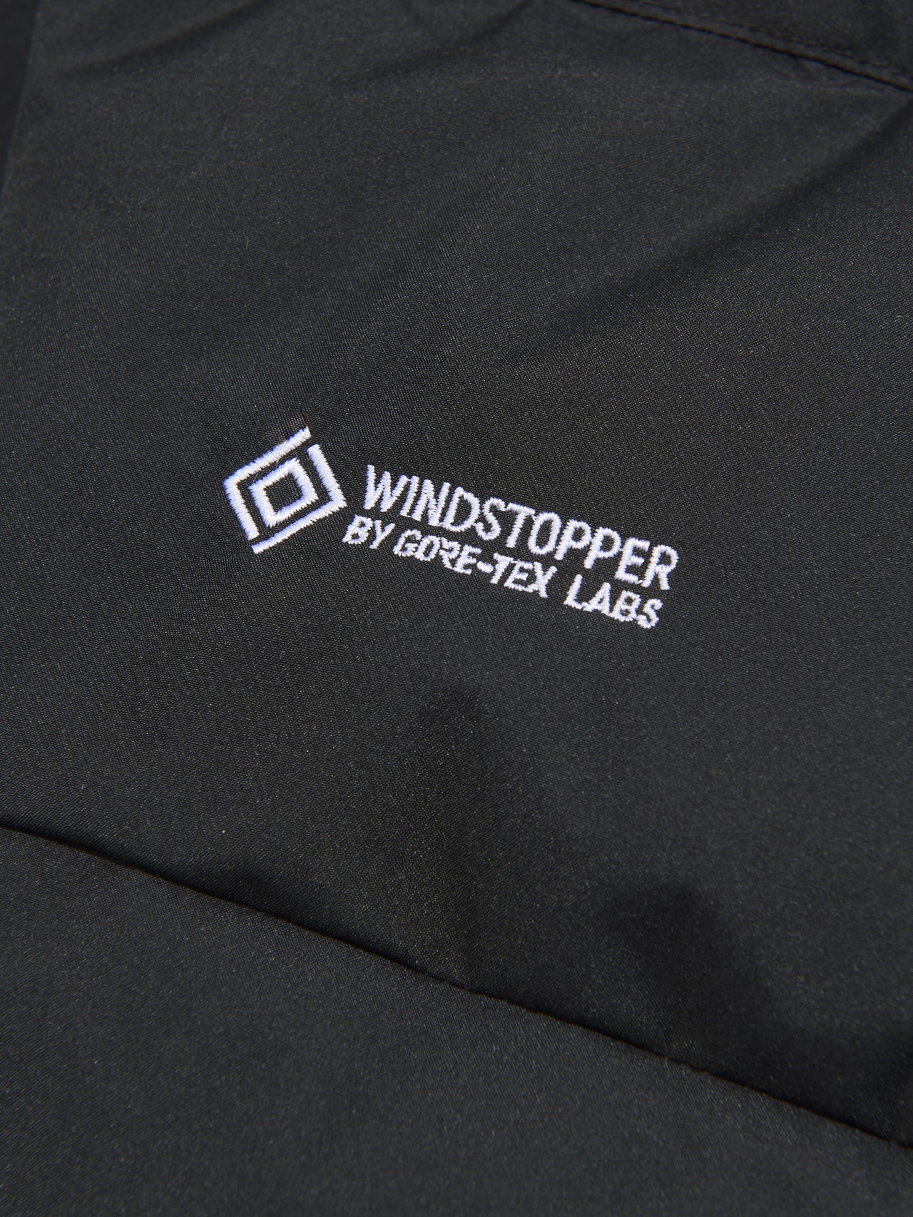 ザ・ノース・フェイスのバルトロジャケット ダウンジャケットのePE GORE-TEX WINDSTOPPER ２層
