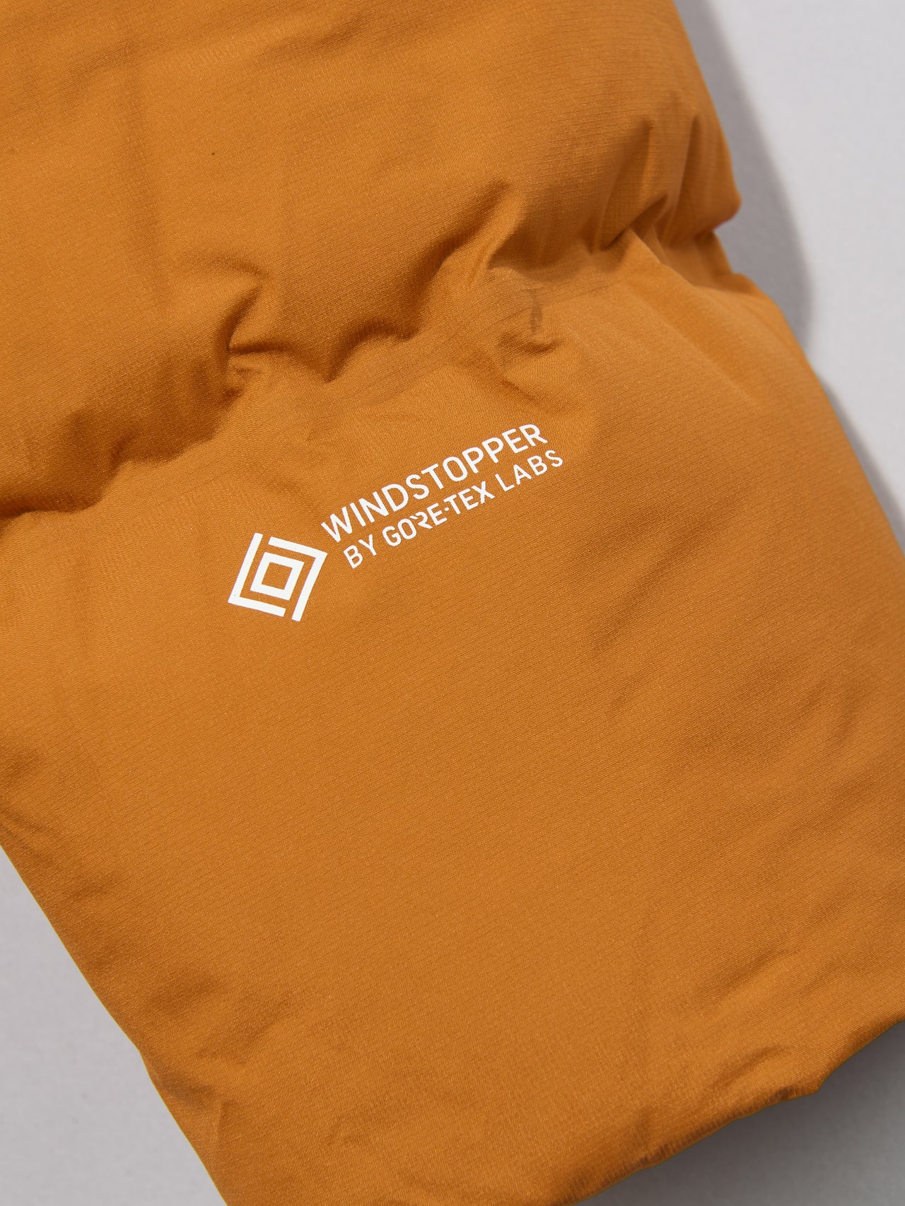 ザ・ノース・フェイスのEX ビレイヤーパーカ ダウンジャケットのゴアテックスロゴ