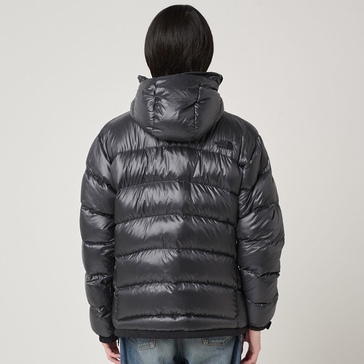 ザ・ノース・フェイスのアコンカグアフーディー ダウンジャケットの着用のバック