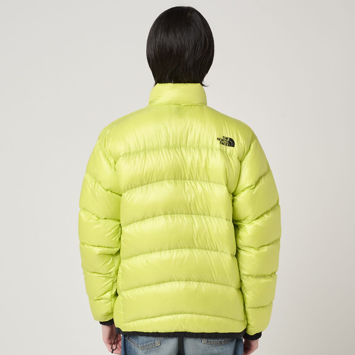 ザ・ノース・フェイスのジップインジップアコンカグアジャケット ダウンジャケットの着用のバック