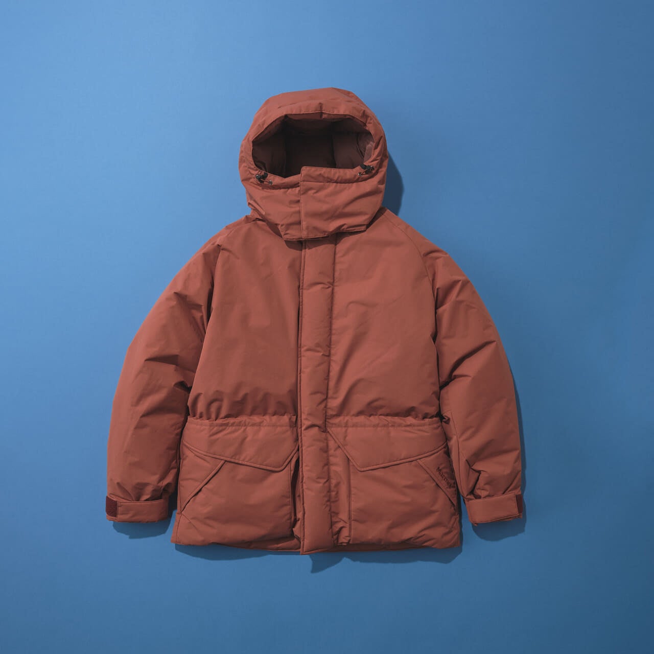 黒じゃないゴアテックスダウンジャケット　Mammoth Down Parka(マンモスダウンパーカ) 俯瞰